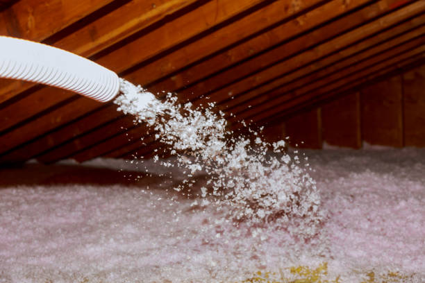 Best Insulation Installation Services in Mountain Iron, MN
