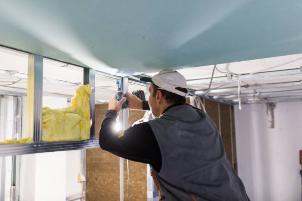 Best Residential Insulation in Mountain Iron, MN